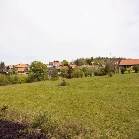 Apartment Harzgeiss By Interhome Hohegeiss