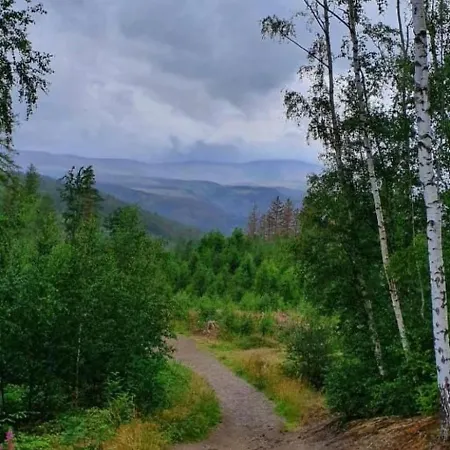 Apartment Harzgeiss By Interhome