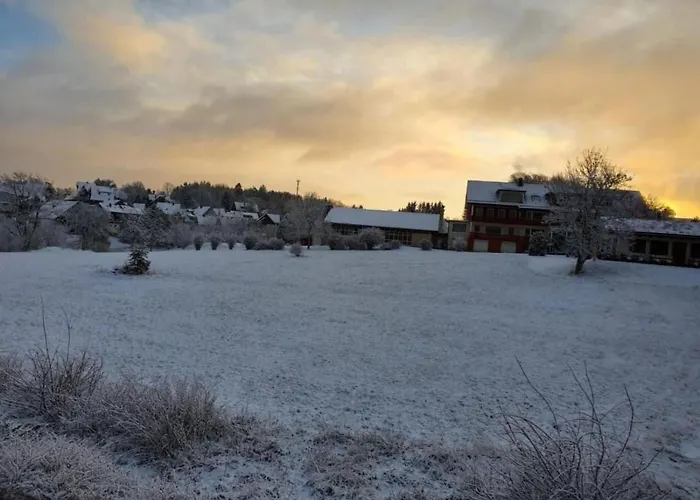 Harzgeiss By Interhome Apartment *