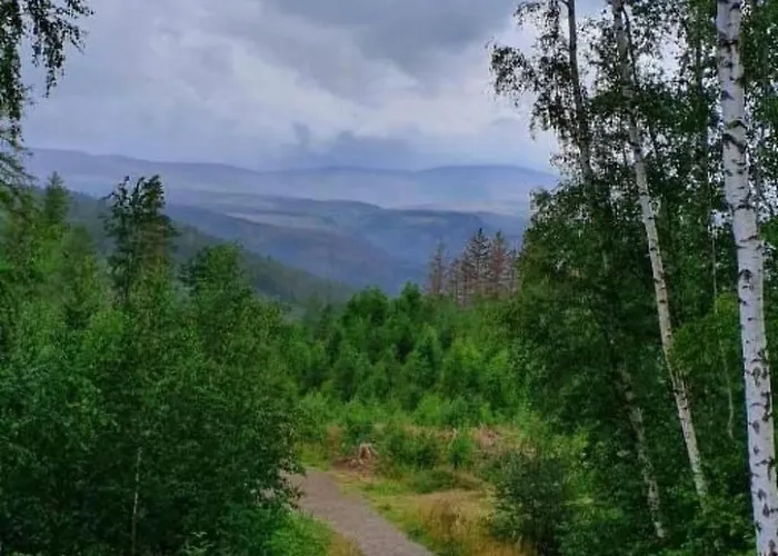 Lejlighed Harzgeiss By Interhome